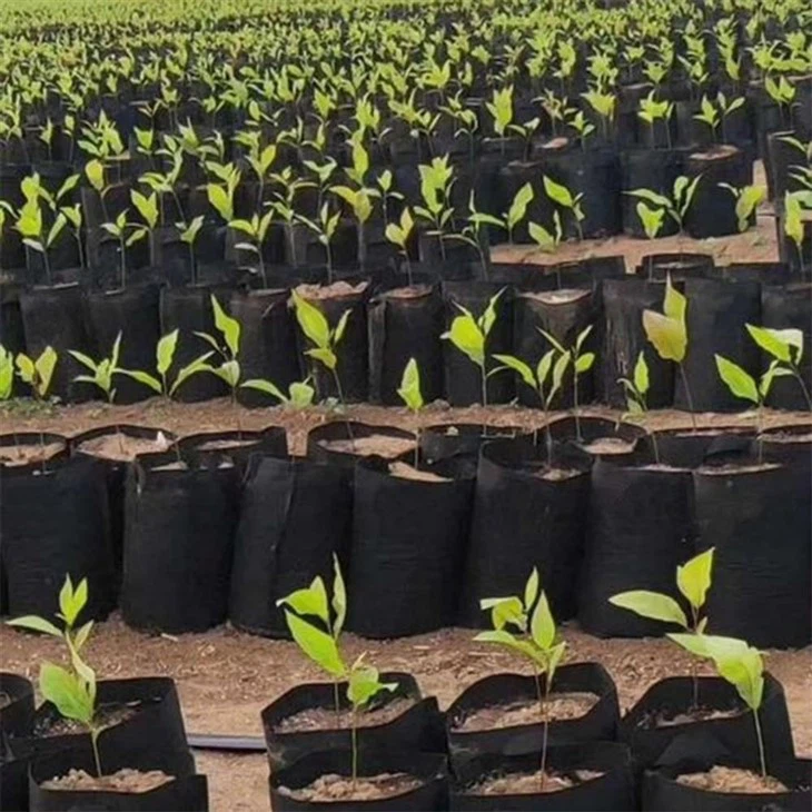 grow bags